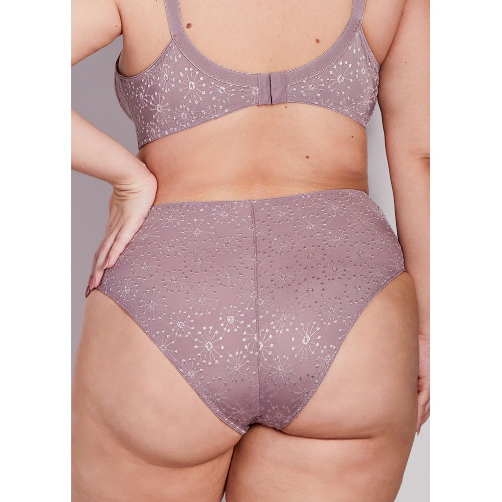 Calcinha Cintura Alta Com Reforço Frontal Alaska BERINJELA