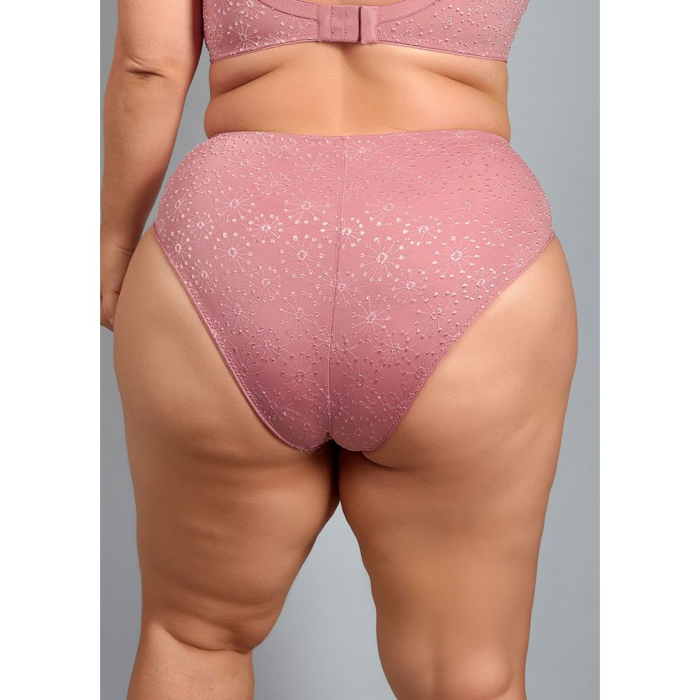 Calcinha Cintura Alta Com Reforço Frontal Em Microfibra Trabalhada Fio Lycra Alaska ARGILE ROSÉE